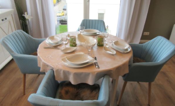 Chalet Koop - Housity