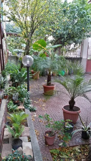 戴夫住宿加早餐旅館