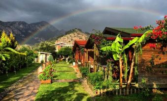 Mavi Yengec Bungalows and Hotel