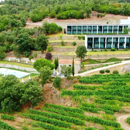 Douro Palace Hotel Resort & Spa
