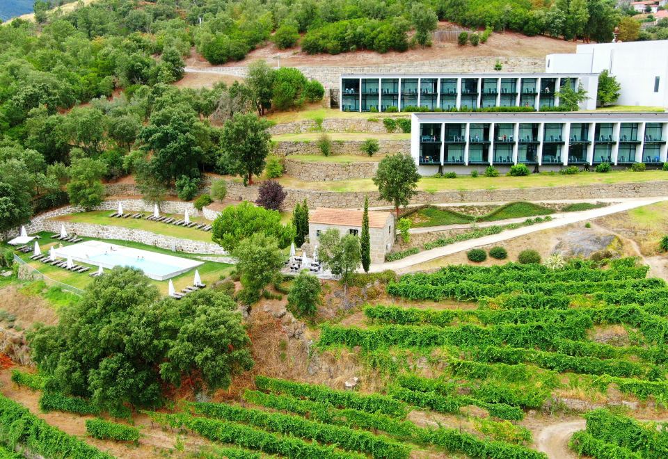 aerial view of a vineyard with rows of grape vines , green trees , and a building in the background at Douro Palace Hotel Resort & Spa