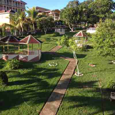 Paradise Reggae Resort Hotel Exterior