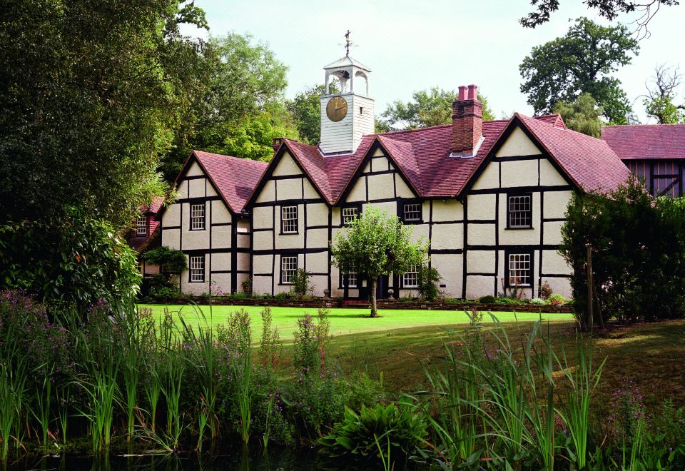 Cozee Monkey Over view