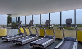 a modern gym with multiple treadmills and exercise equipment , positioned near a large window overlooking the outdoors at Le Méridien Coimbatore