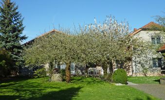 a beautiful house surrounded by a lush green garden , with cherry blossom trees in full bloom at Zerna