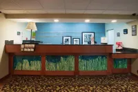FairBridge Inn & Suites Thornton - Wifi