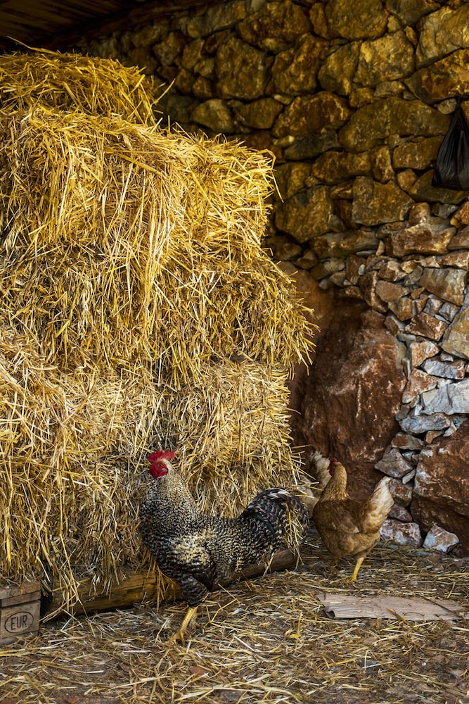 Yenice Vadi Dogal Yasam Koyu