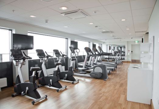 1. 스칸딕 시다브넨..