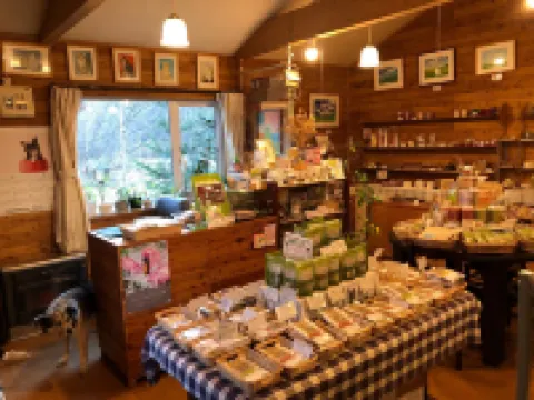 4th Floor of NY Building