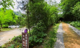 Hoengseong Gallery Birch Forest