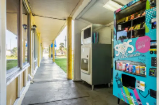 로드웨이 인 부시넬