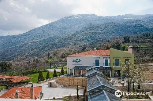 Alexander Mountain Resort Hotels in Sivritos
