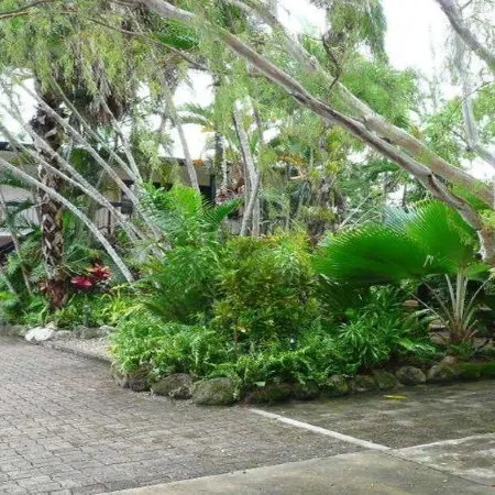 Cairns City Palms Отели рядом с достопримечательностью «Кладбище Мак-Леод стрит Пайонир»