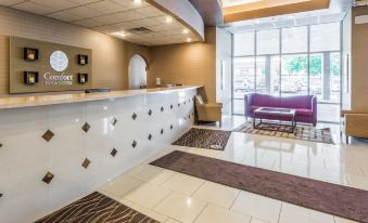 Comfort Inn & Suites Omaha Central