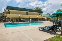 Quality Inn Madison - Swimmingpools