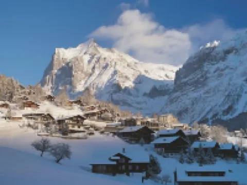 Hotel Spinne Grindelwald Hotels in Interlaken District