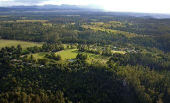 Tsala Treetop Lodge