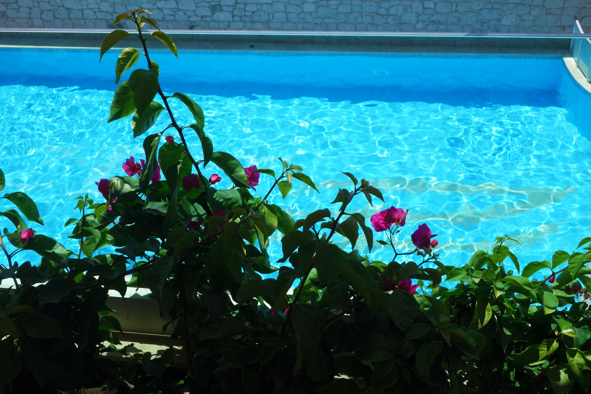 Zest Exclusive Hotel