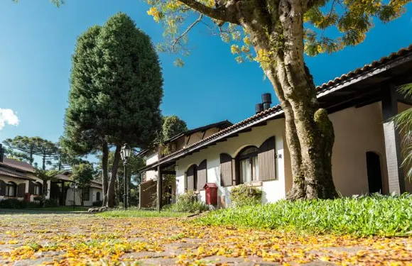 蘇珊娜維拉公園酒店