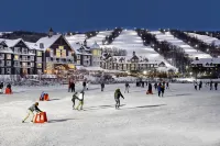 The Westin Trillium House, Blue Mountain - Gym