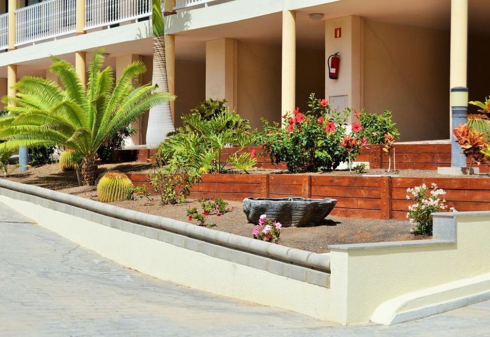Apartamentos Natural Park - Valoraciones de hotel de 1 estrellas en Puerto  Rico de Gran Canaria