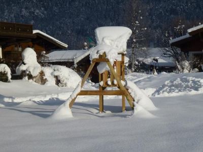 Wiesingbauer
