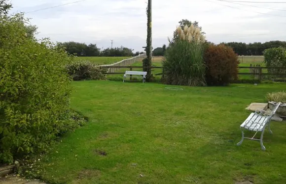 紅豆杉樹美景公寓