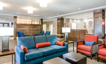 Comfort Inn & Suites Lynchburg Airport - University Area