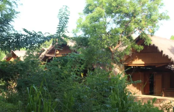 阿斯瑞亞阿育吠陀阿什拉姆旅館