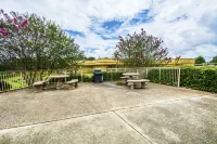 Quality Inn University Area Hoteles cerca de Troy University