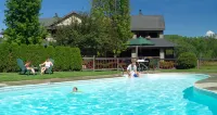 Grey Fox Inn - Pools
