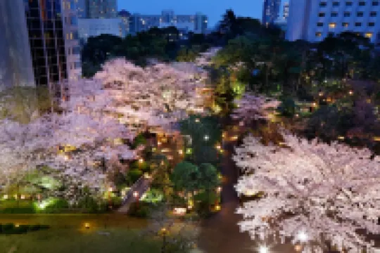 جراند برينس هوتل تاكاناوا Hotels near محطة شيروكانيداي