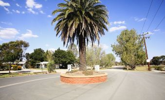 Discovery Parks - Moama West