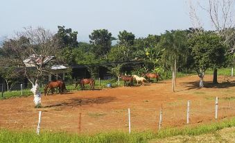 a group of horses are grazing in a field with trees and a fence around them at Hotel Selopanggung Kediri