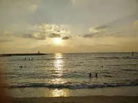 Jacob Shenkin - Bãi biển
