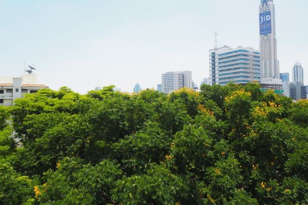 로얄 뷰 리조트(Royal View Resort - Rang Nam)_4
