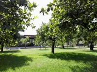 Terra Dei Limoni