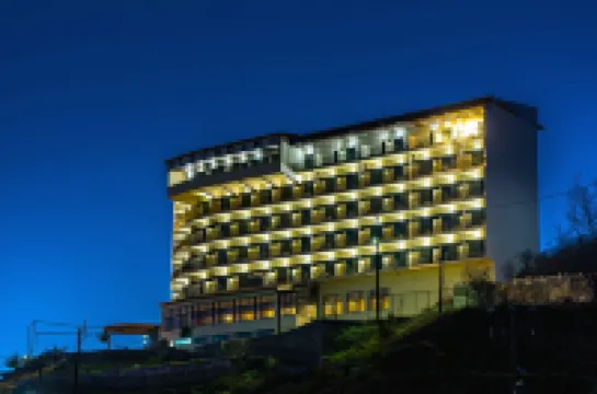 レカディン ホテル のホテル