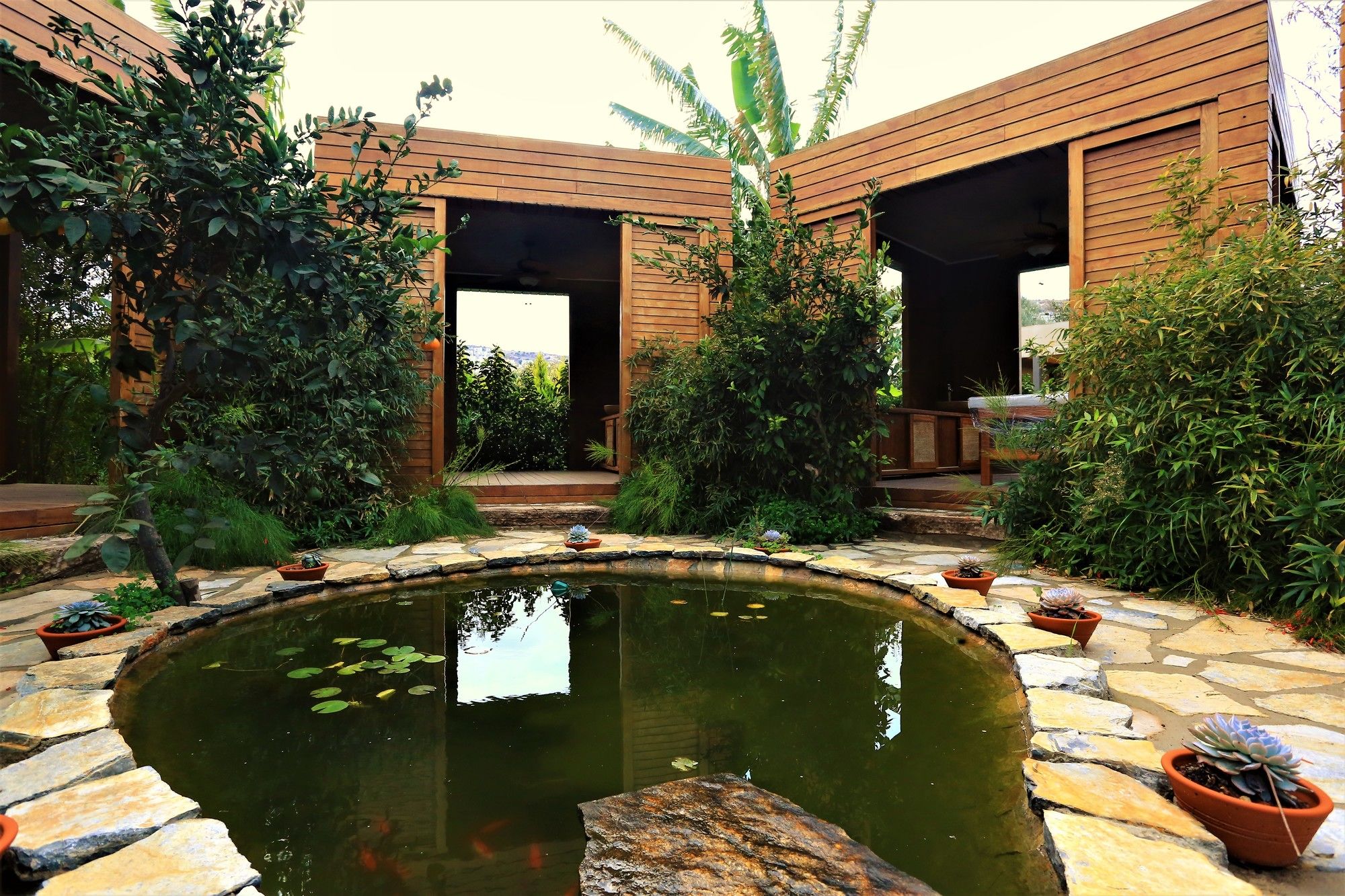 The Lifeco Bodrum Wellbeing & Detox Center Mugla