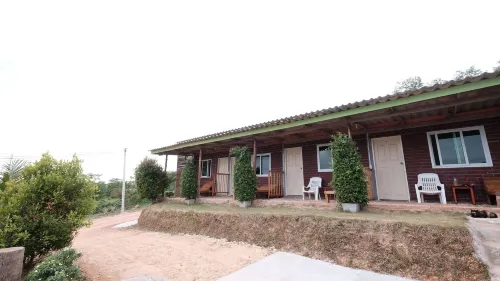 Cat Bungalow