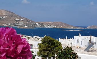 a view of a town by the sea with white buildings and purple flowers in the foreground at Hotel Iris