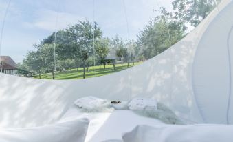 Locations - Domaine le Coq Enchanté