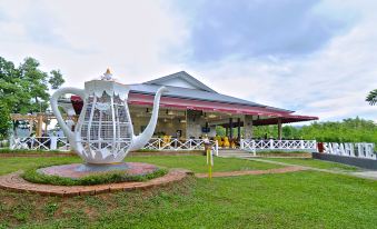 Sabah Tea Garden