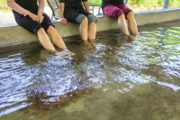 F Hotel Chiayi Hotels in Chiayi County