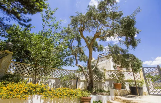 沙林納公寓酒店