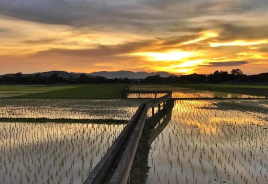 난 시즌 부티크 리조트