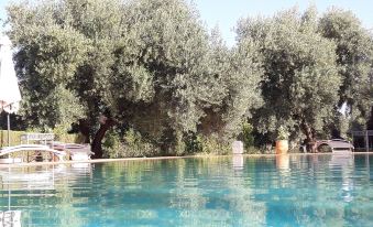 African Queen Spa