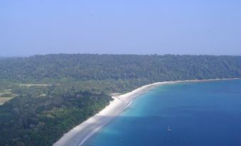 The Barefoot at Havelock