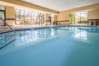 Comfort Inn & Suites Arlington Heights - Buffalo Grove Отели в г. Буффало Гров