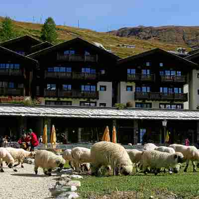 Riffelalp Resort 2222m - Ski-in & Ski-Out Hotel Exterior